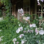 Guest house Kotka Farm *