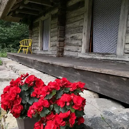 Kotka Farm Guest house