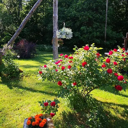 Kotka Farm *