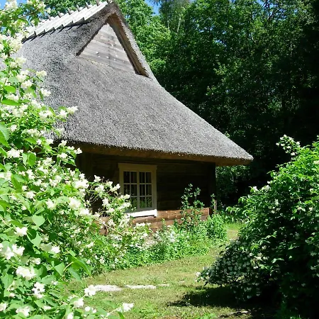 Kotka Farm Saarekula