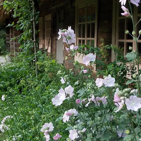 Pensionat Kotka Farm *