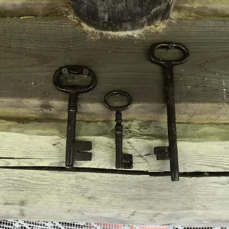 Kotka Farm Saarekula