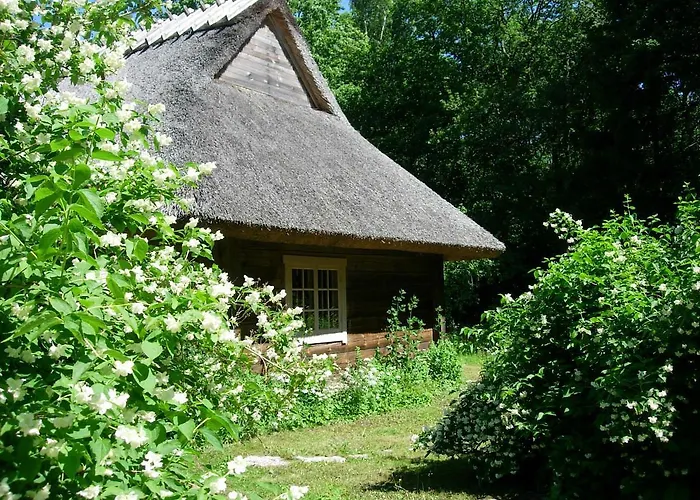 Kotka Farm Saarekula