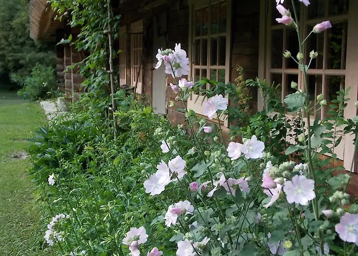 Pensjonat Kotka Farm *